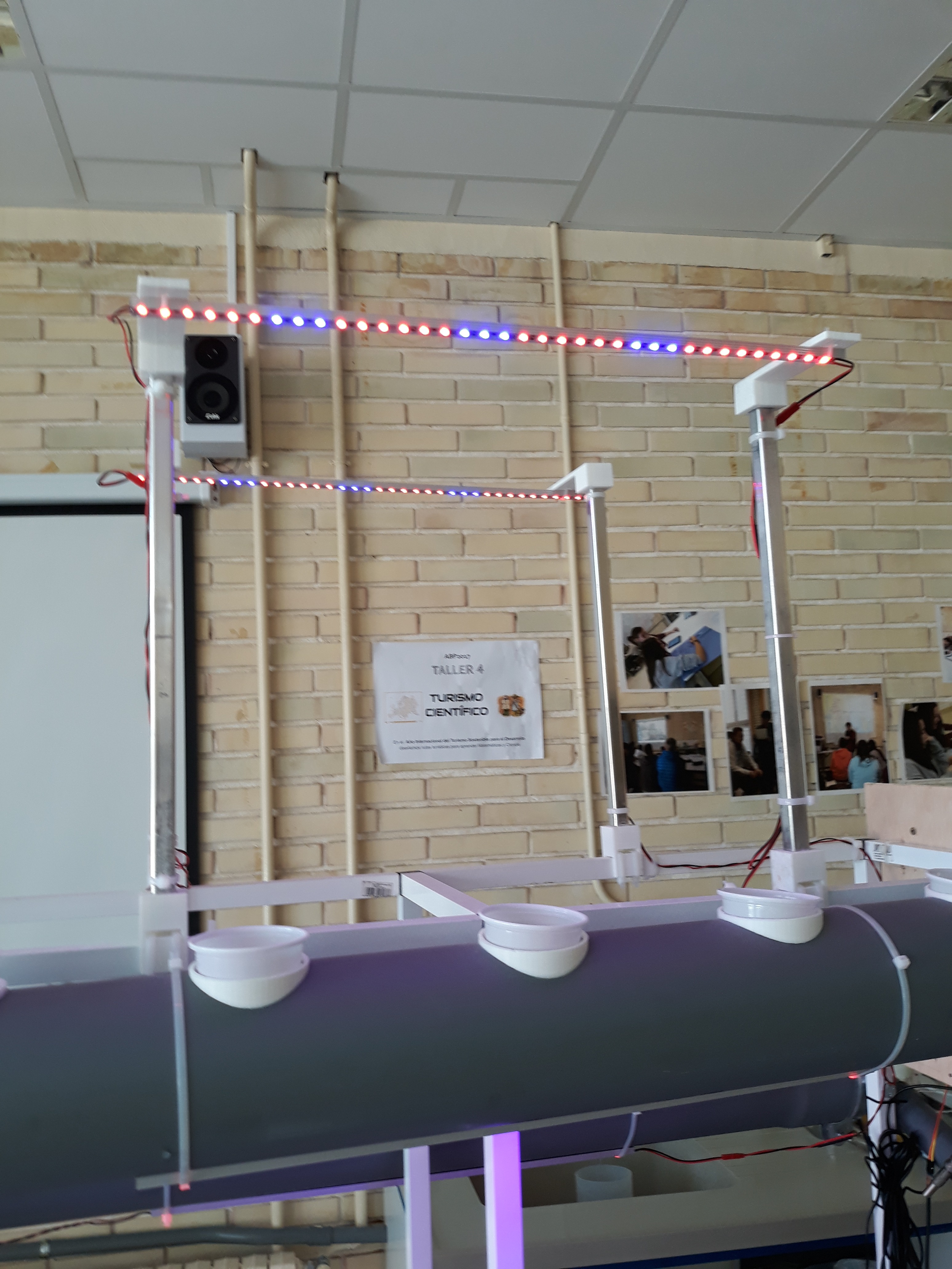 20180525 JdL Hidropónico 101.jpg